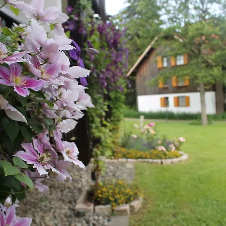 Hapimag 3* בראונלאגה