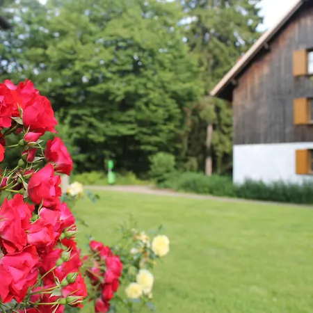 Hapimag Lejlighedshotel Braunlage