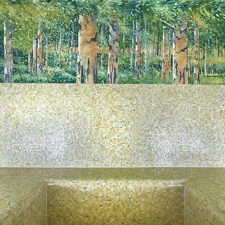 Hapimag 3* בראונלאגה