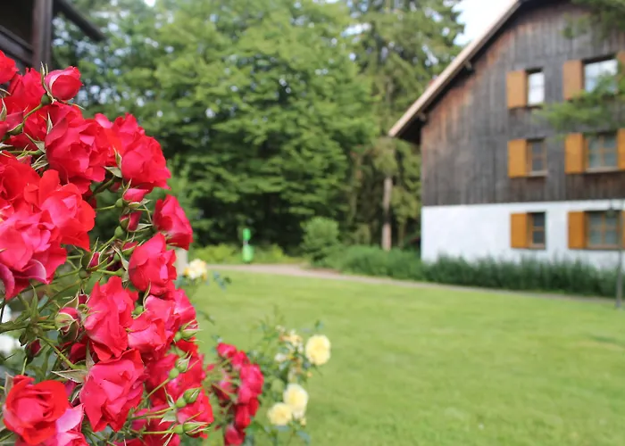 Hapimag Lejlighedshotel Braunlage