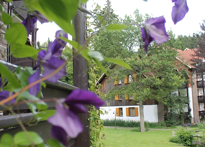 Hapimag Ferienwohnungen Braunlage